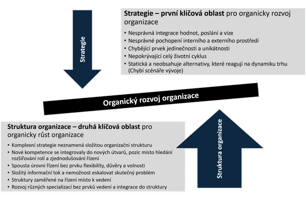 Organický rozvoj