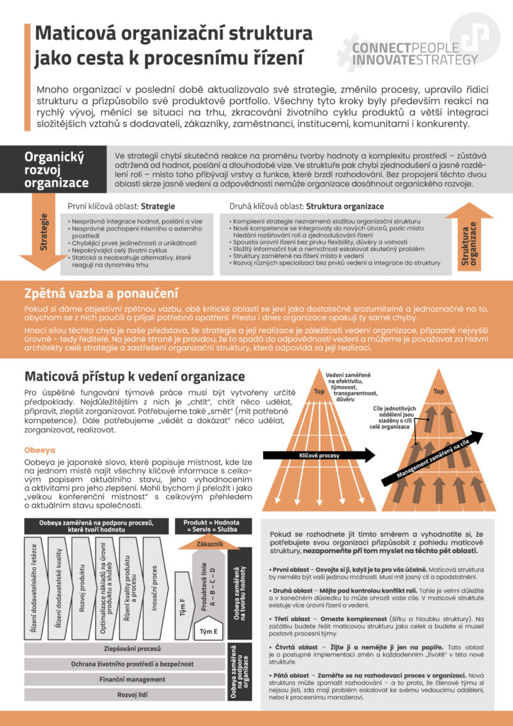 Maticová organizační struktura